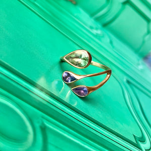 A Tanzanite & Green Garnet vine ring