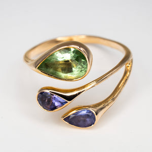 A Tanzanite & Green Garnet vine ring